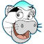 COWCAT